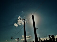 IMG_5037 (2)