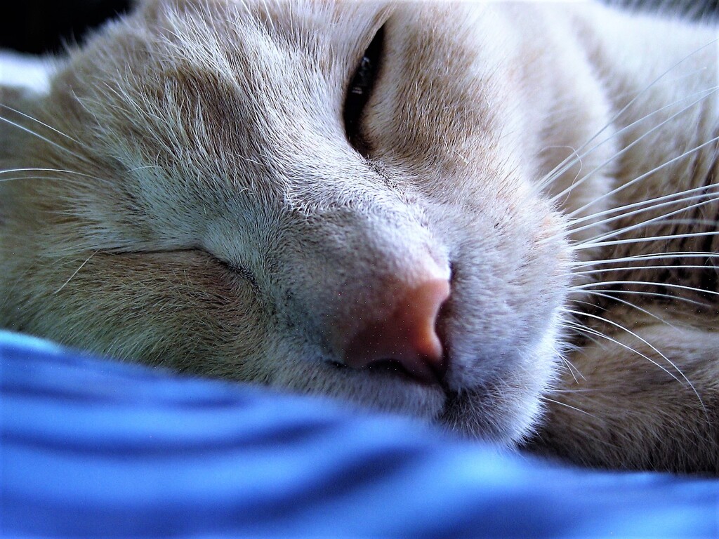 IMG_6610.jpg01