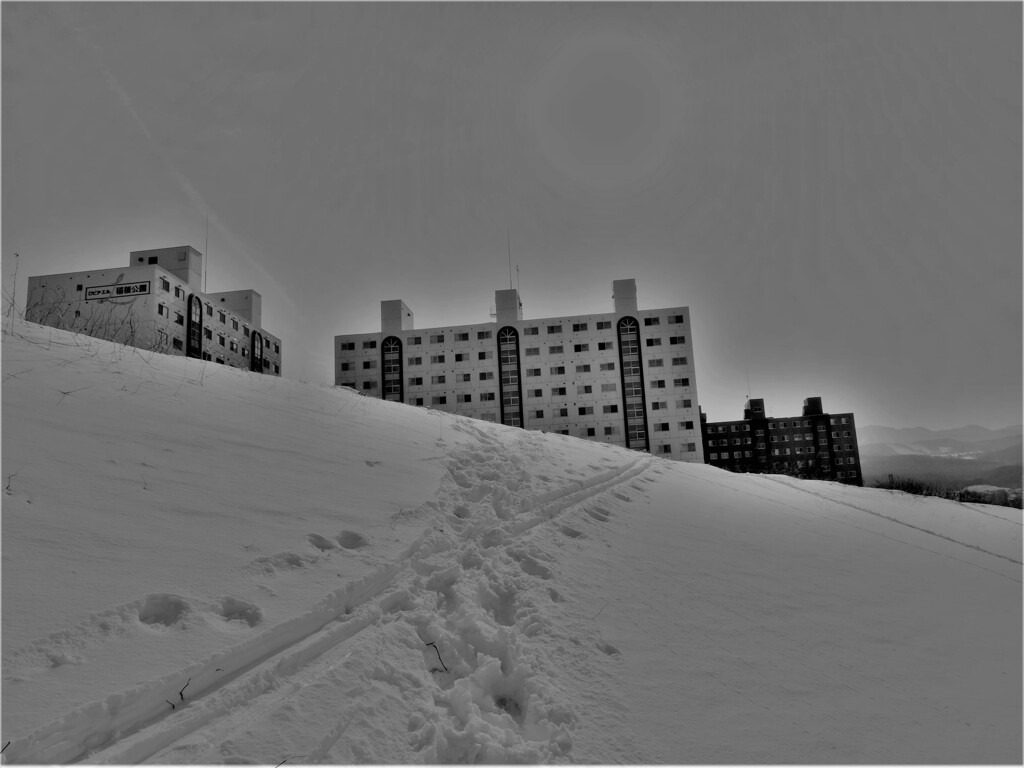 DSCF0289 (3)