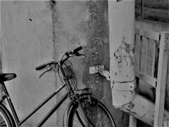 IMG_4107 (2)
