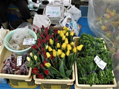 IMG_7926.jpg01