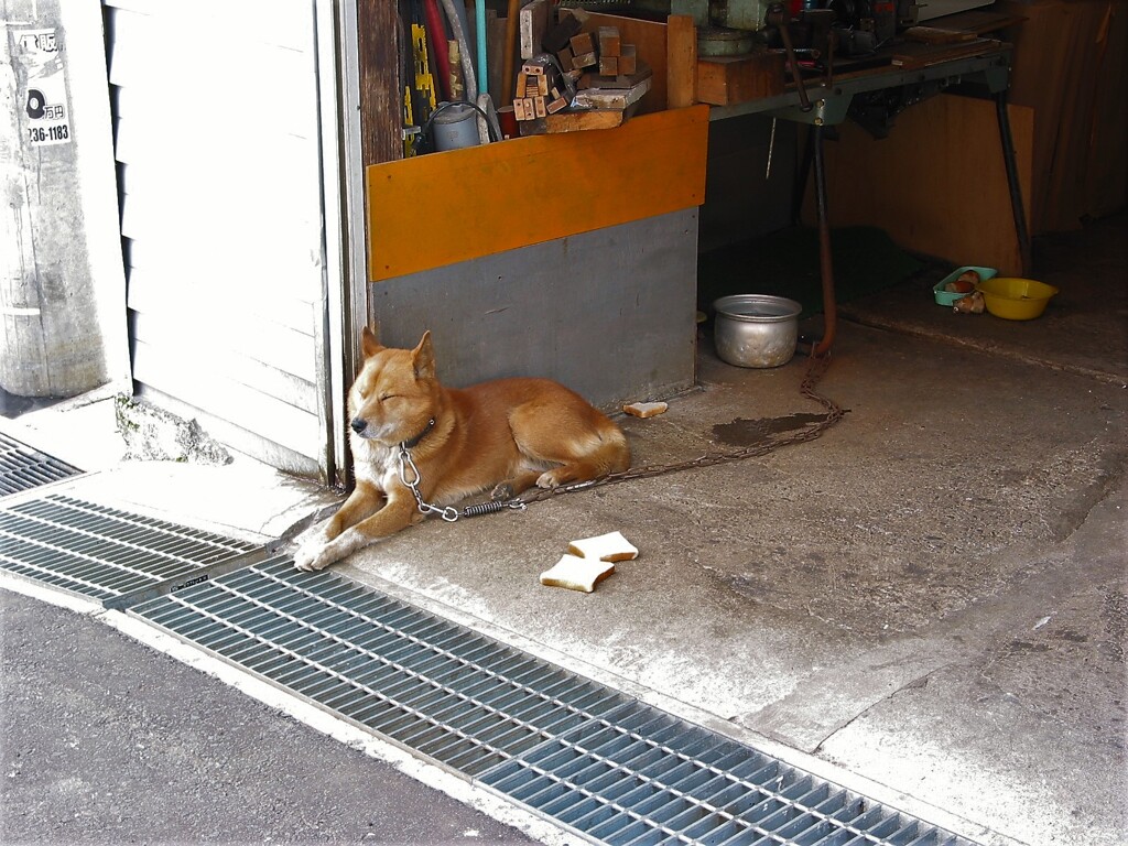 IMG_4373 (2)