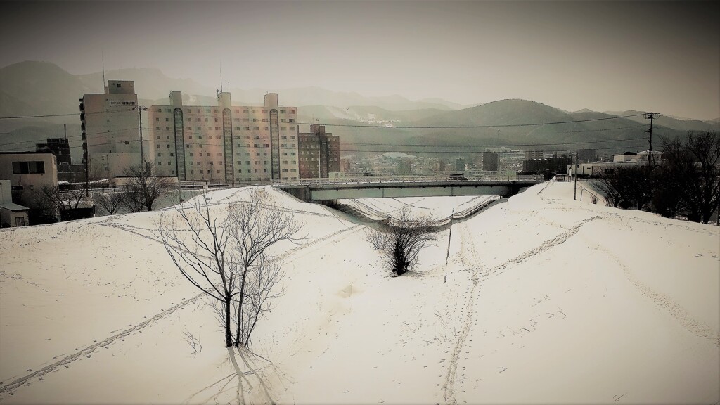DSCF0369 (4)