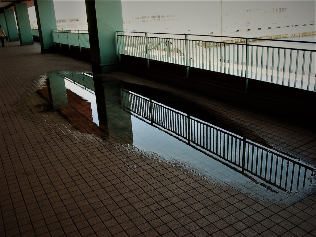 IMG_5905 (2)