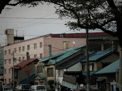 IMG_4852.jpg01