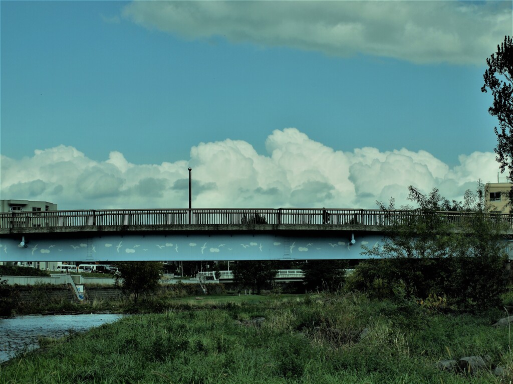PA058310
