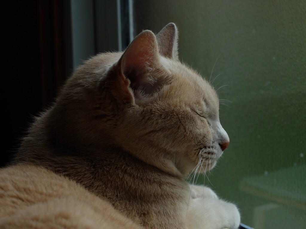 DSCF0072 (2)
