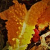 P9237609