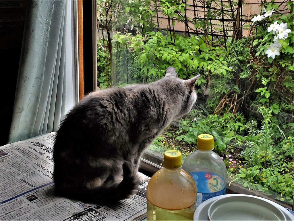 DSCF7420 (2)