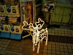 IMG_0538.jpg01