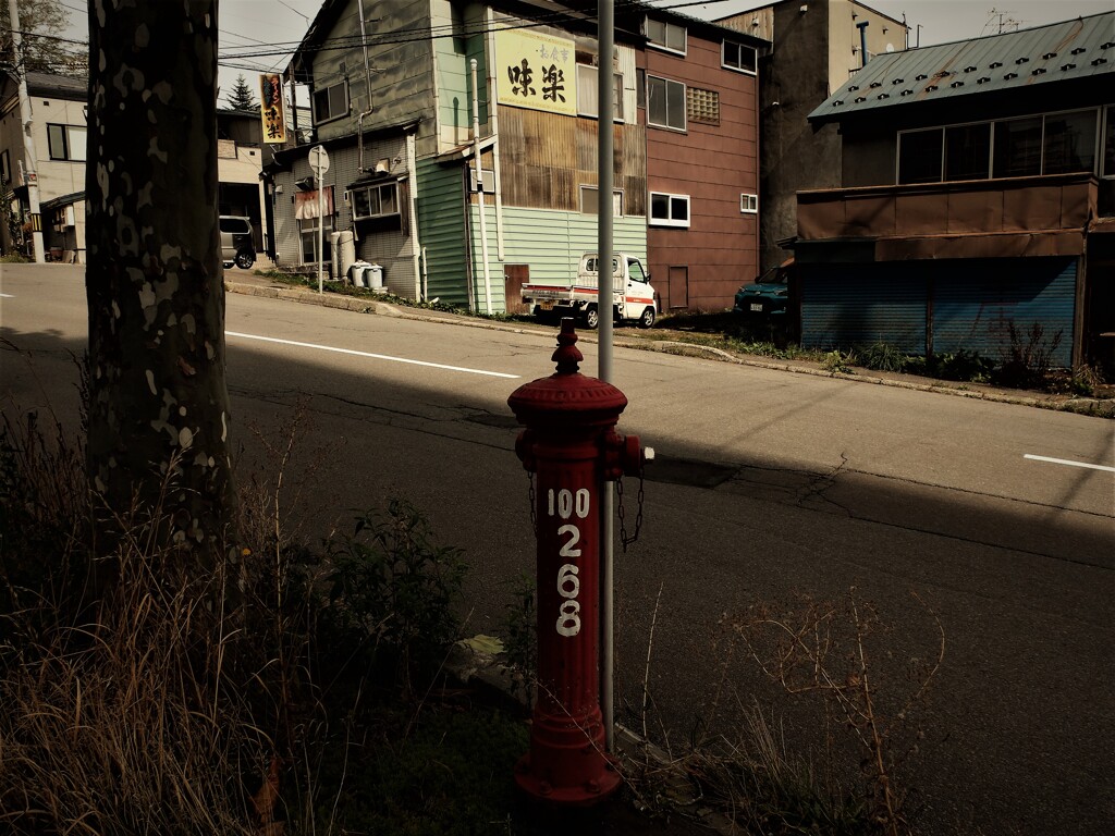 DSCF3762 (2)