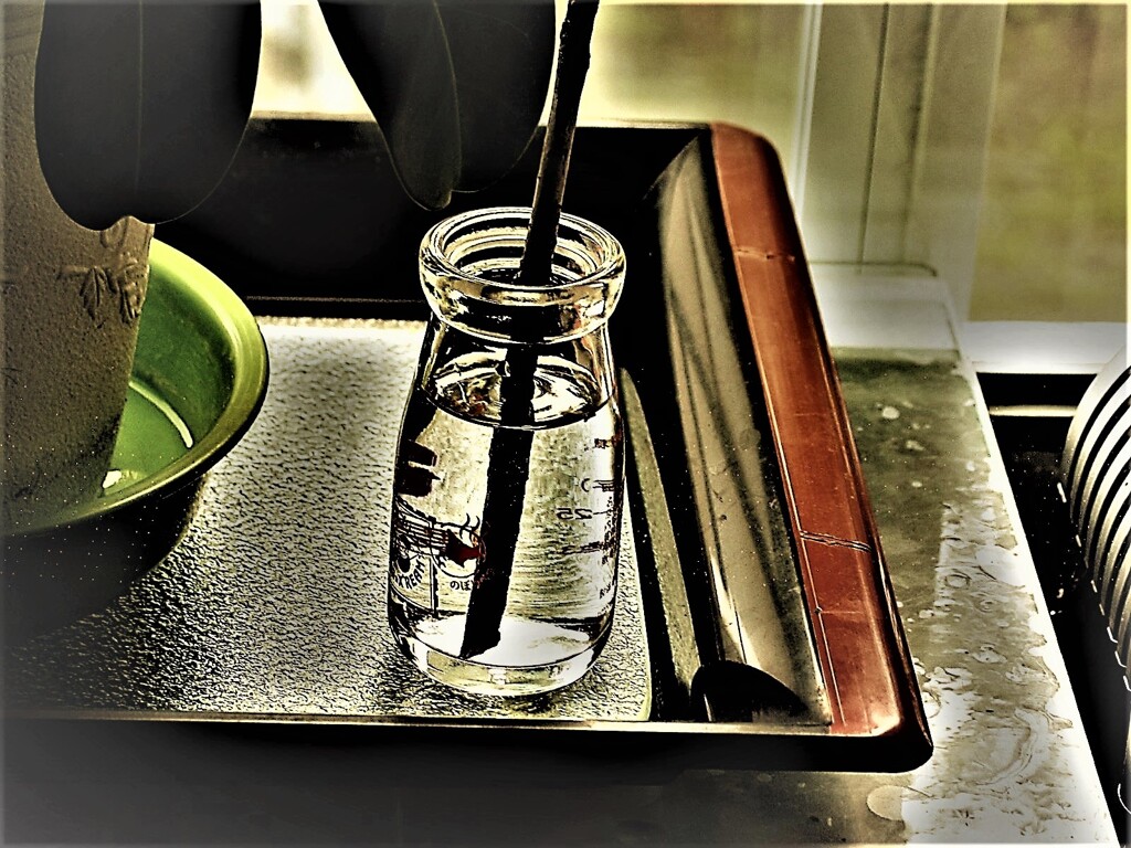 IMG_5228.jpg01
