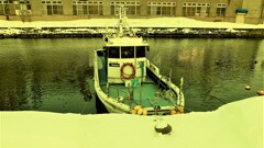 DSCF9802 (2)