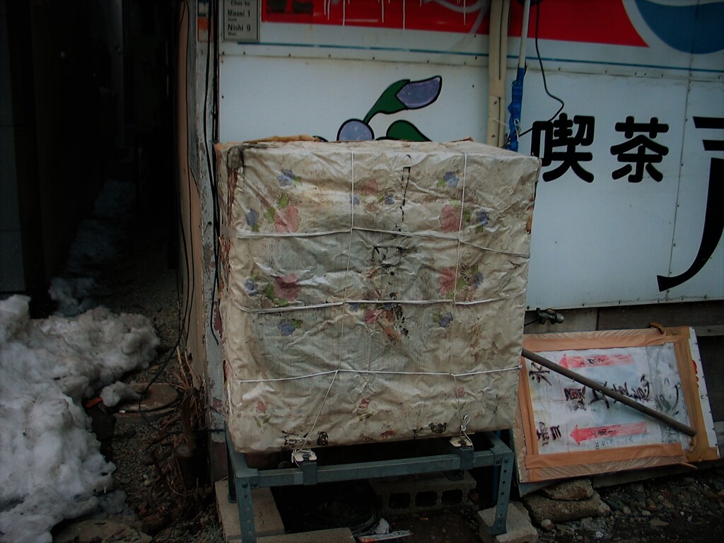 IMG_8944 (2)