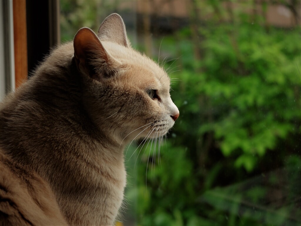 DSCF4488 (2)
