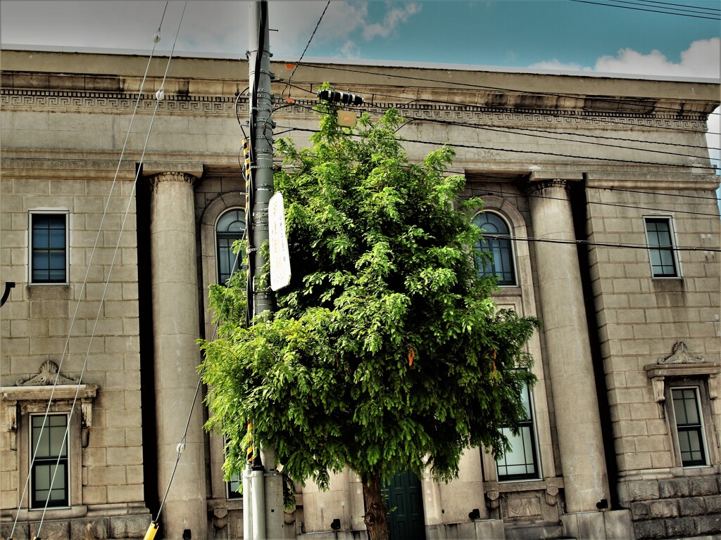 小樽散策　P9085249