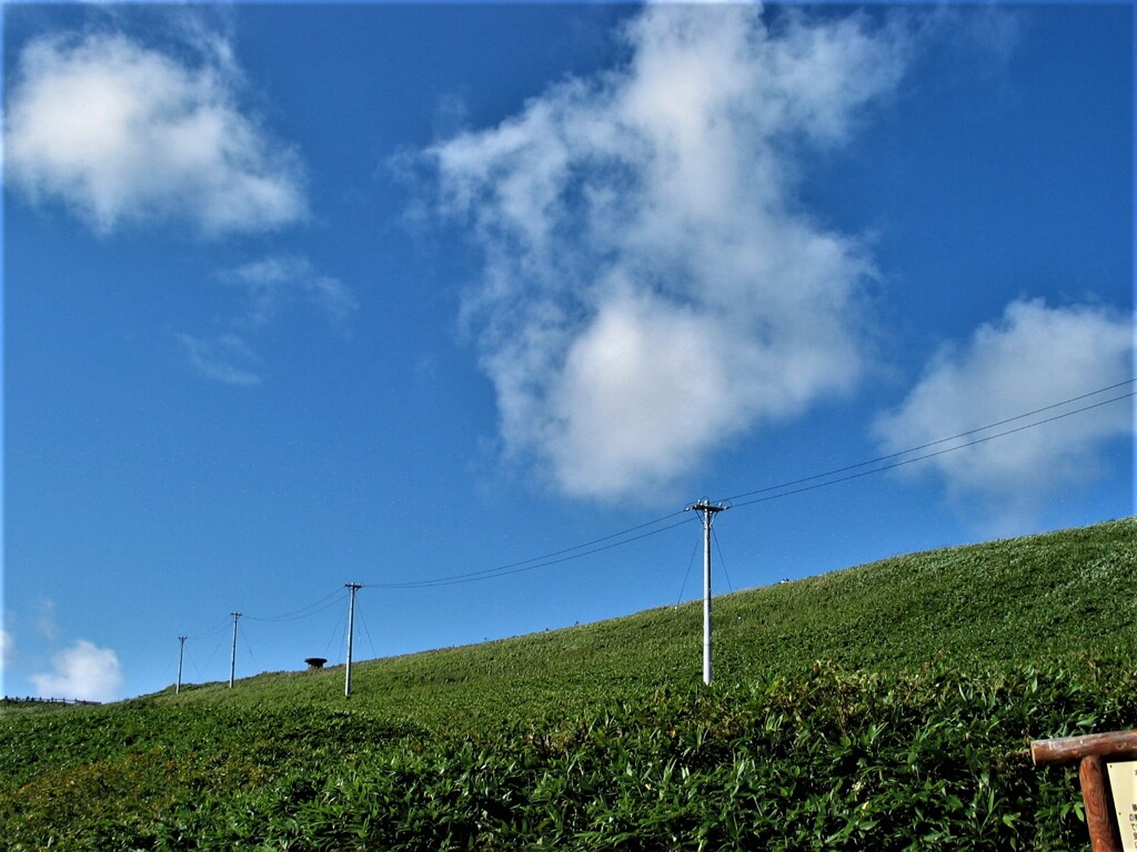 IMG_9655.jpg01