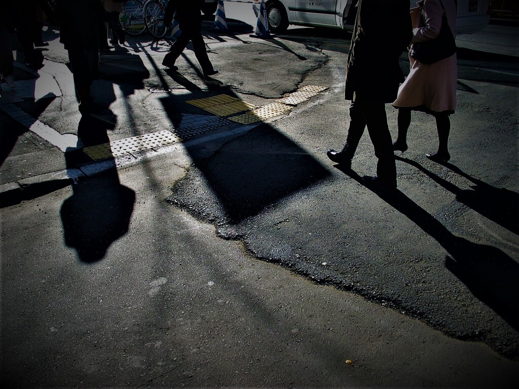 IMG_8742.jpg01