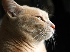 IMG_1278 (2)