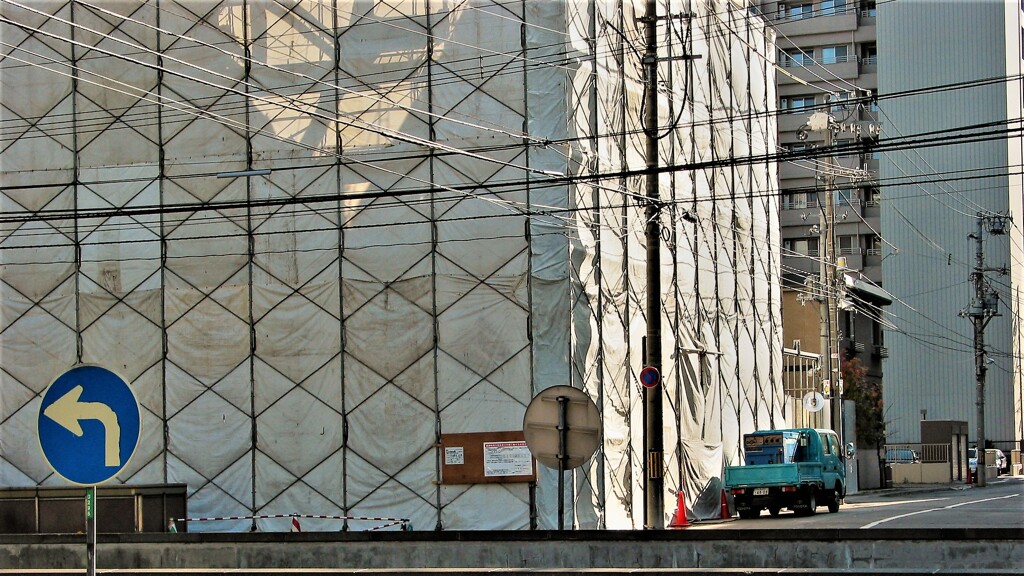 IMG_8982 (2)