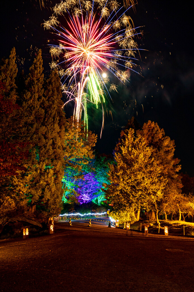 備北丘陵公園イルミネーション2019　花火02