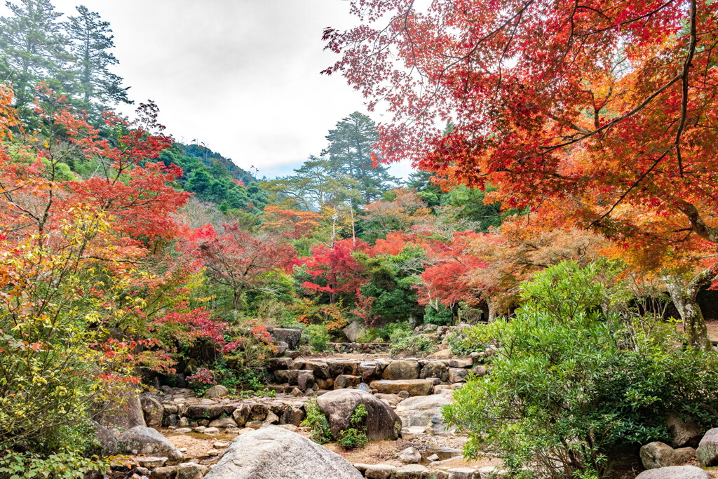 紅葉谷公園（渓流）