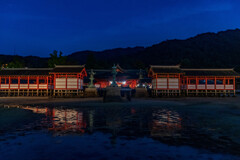 夜の宮島　厳島神社正面