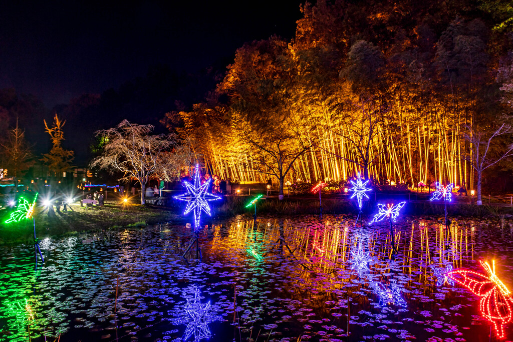 備北丘陵公園イルミネーション2019　蝶々