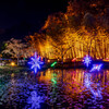 備北丘陵公園イルミネーション2019　蝶々