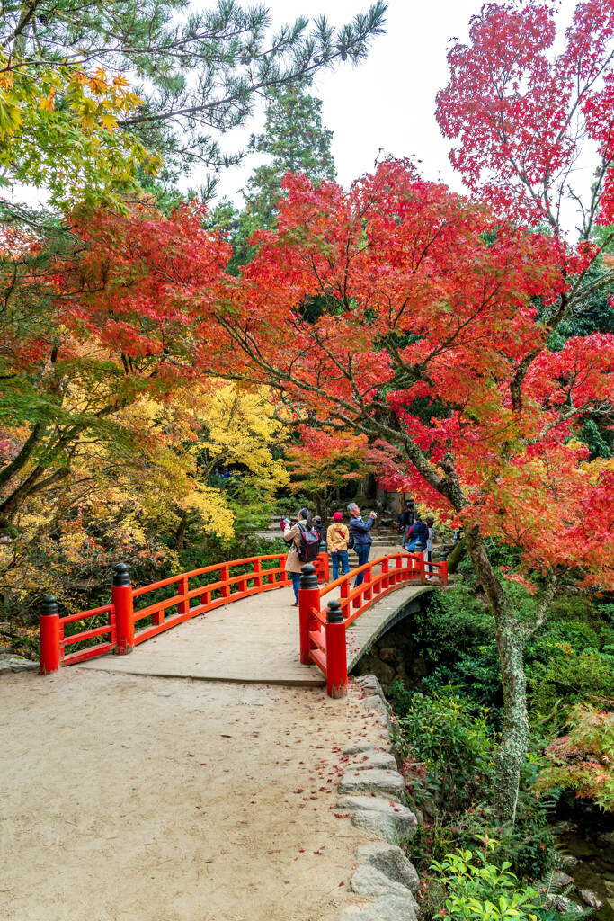 紅葉谷公園（橋）