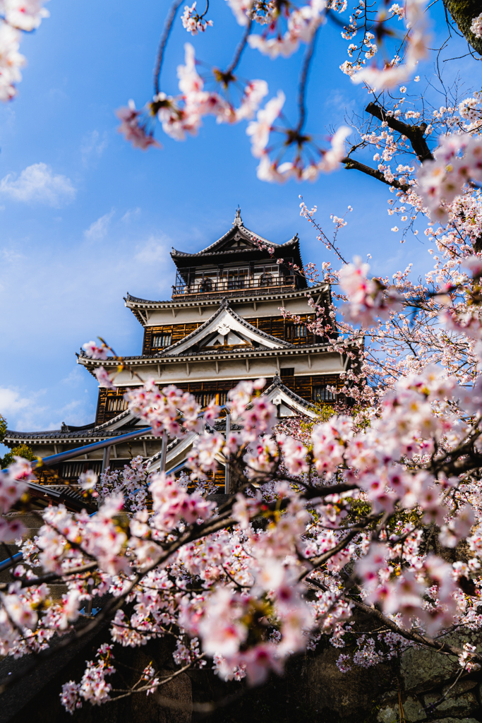 前桜の広島城