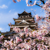 前桜の広島城