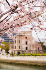 桜と平和