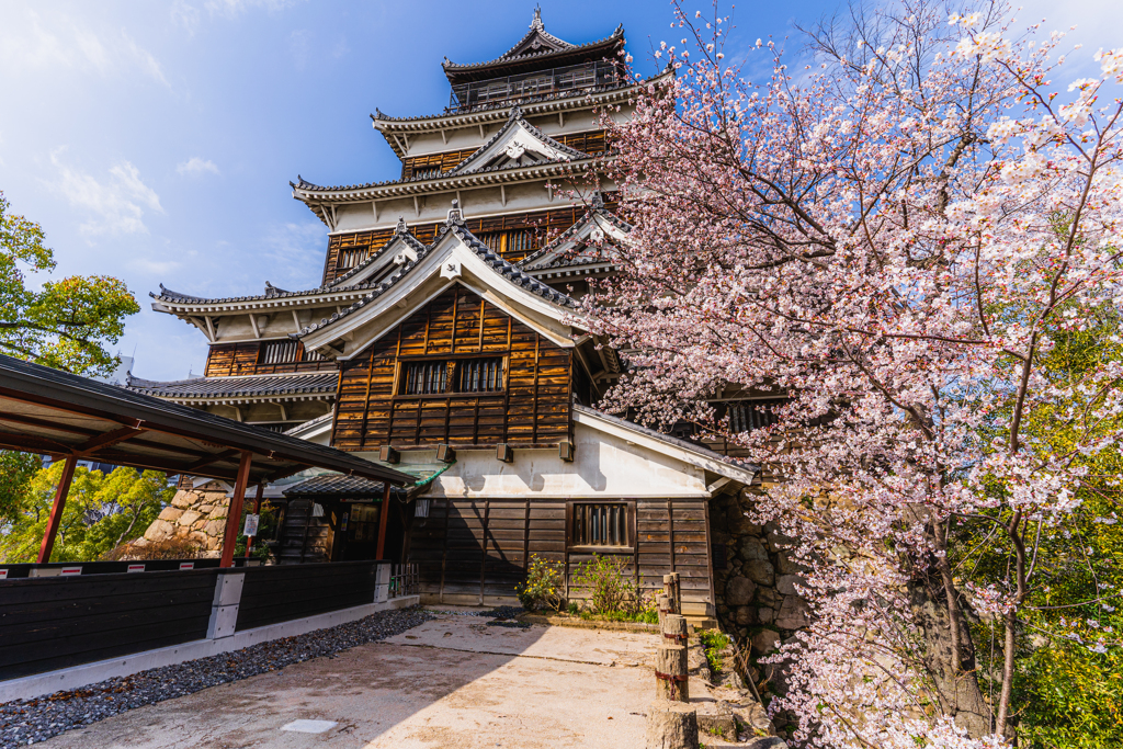 桜と広島城