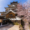 桜と広島城