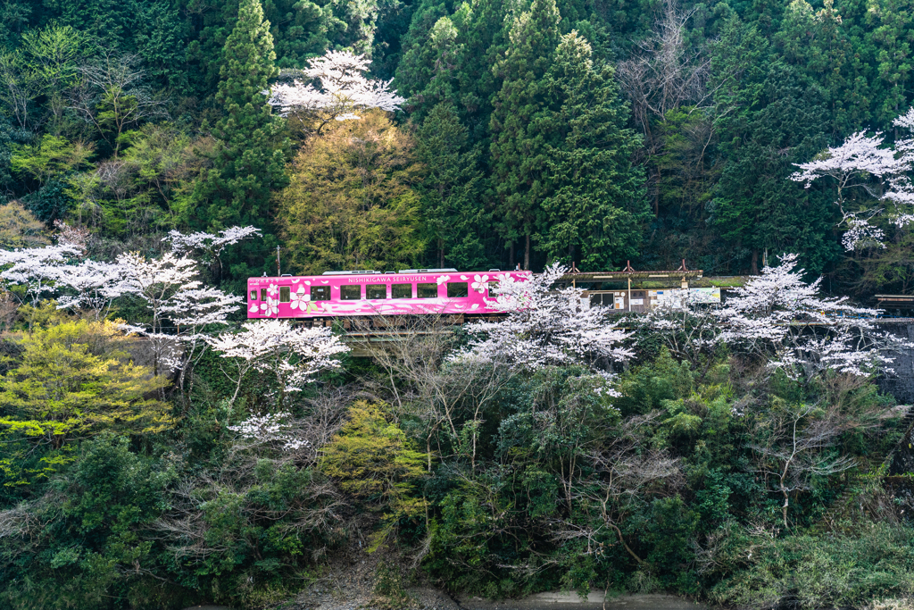 南桑駅のひだまり号