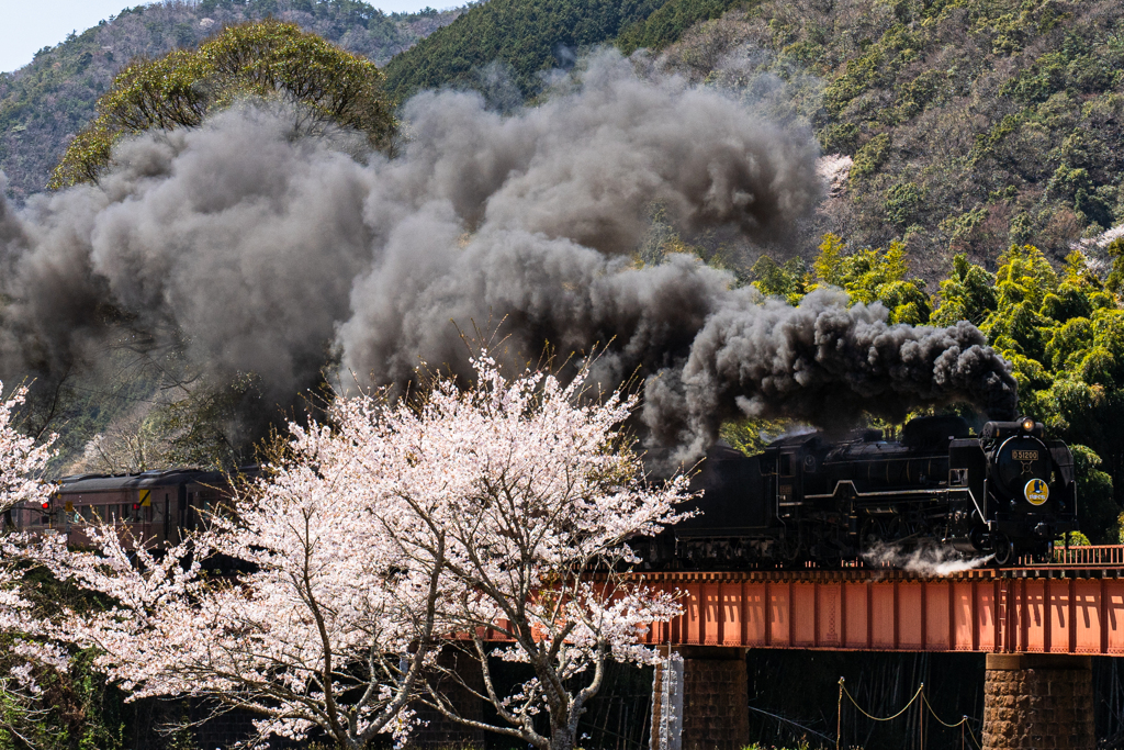 長門峡のやまぐち号