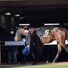 中山競馬場 パドック