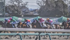 中山競馬場 ダートレース