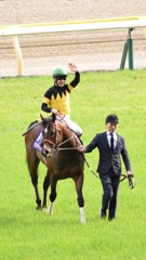 NHKマイル2