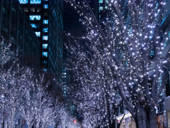 丸の内夜景