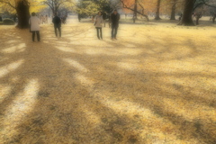 カーペット