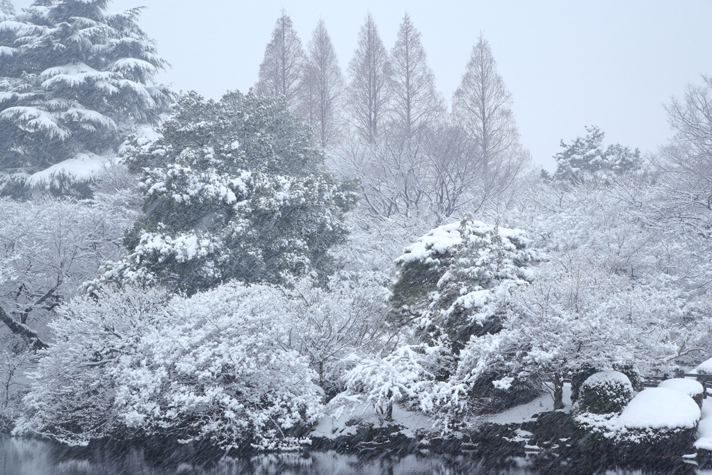 新宿御苑・雪