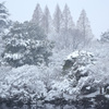 新宿御苑・雪