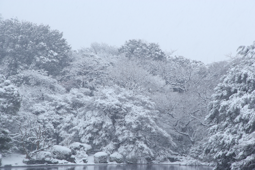 新宿御苑・雪