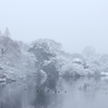 新宿御苑・雪