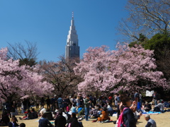 新宿御苑・春