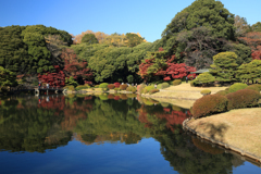 リフレクション