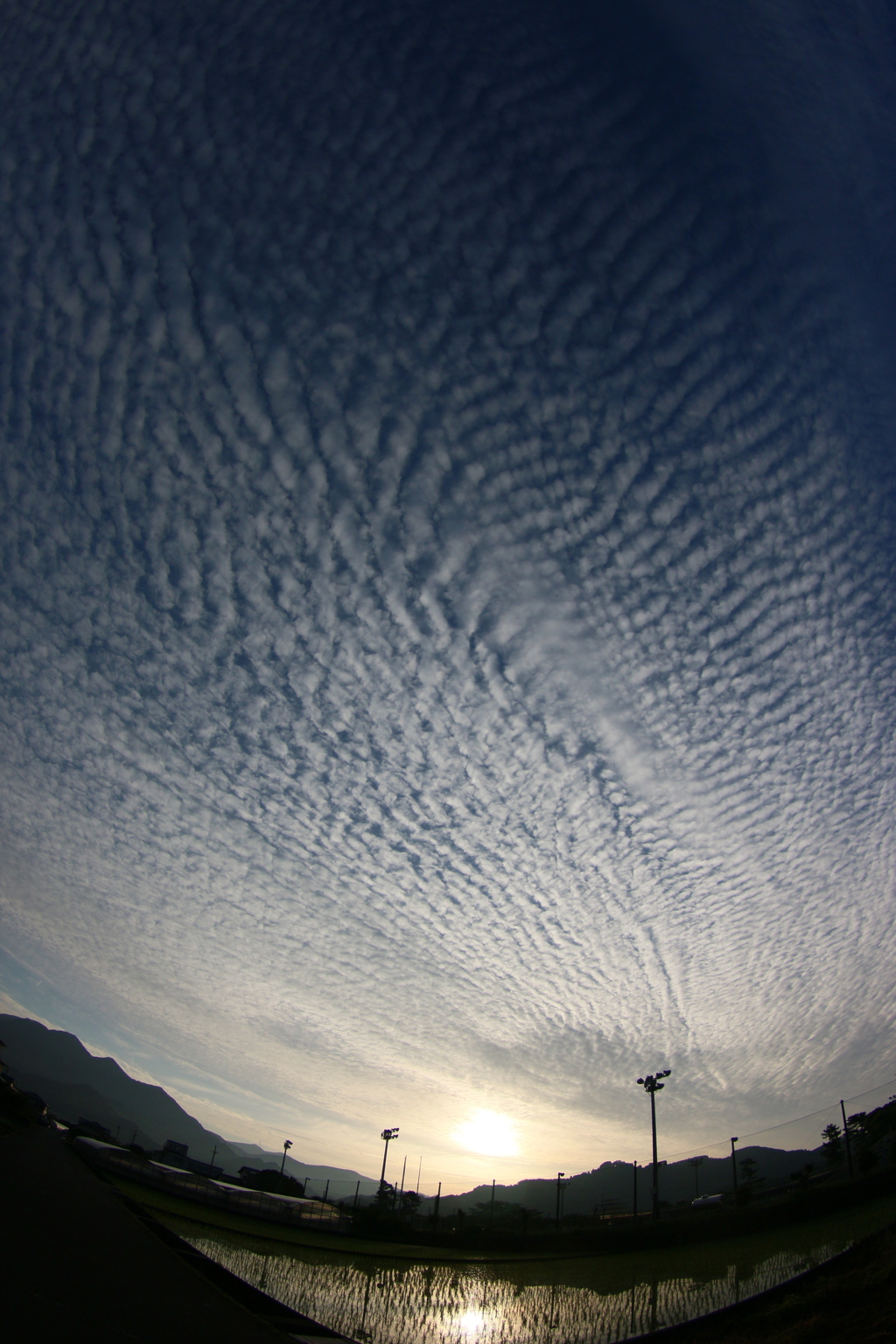 鱗雲
