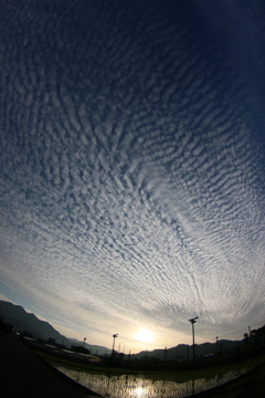 鱗雲